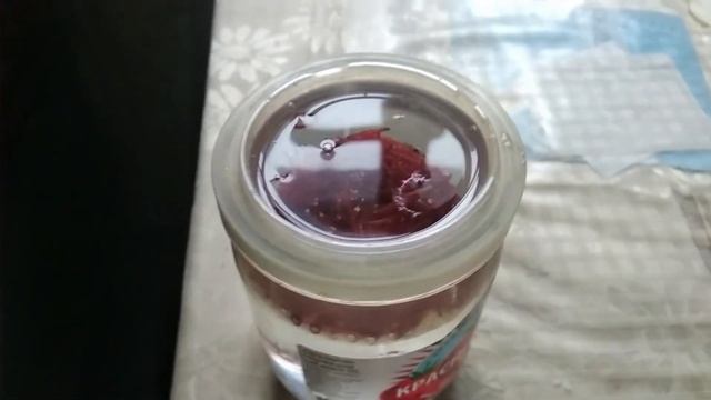 Как долго хранить живого мотыля