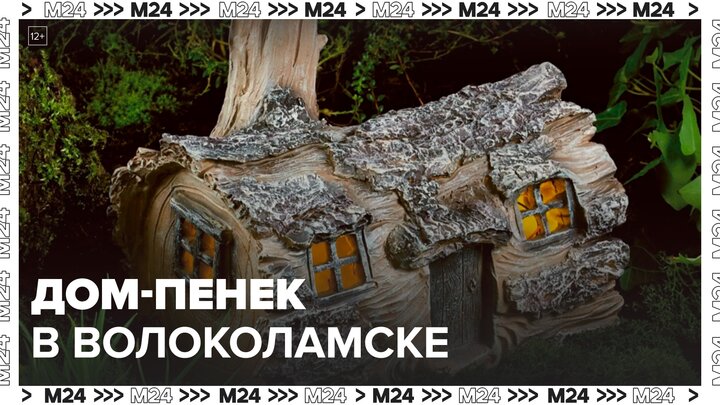 Туристов пригласили в "Дом-пенек" недалеко от Волоколамска - Москва 24