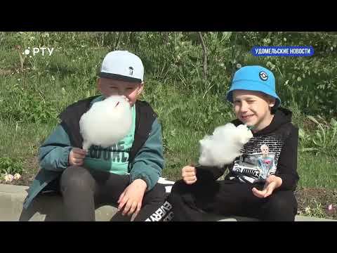 Удомельские новости 02.06.23