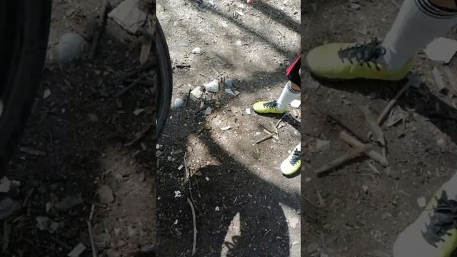 ТАРЗАНКА ИЗ КОЛЕСА/СУПЕРВЕСЕЛЬЕ!