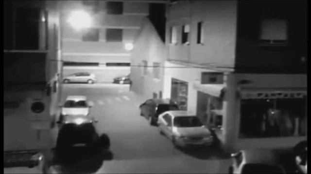 Жуткий житель немецкого дворика  снят на камеру. Шок!