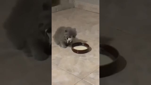 b6ee40bf6b97ff7a27f7bad0d9d3541f.mp4