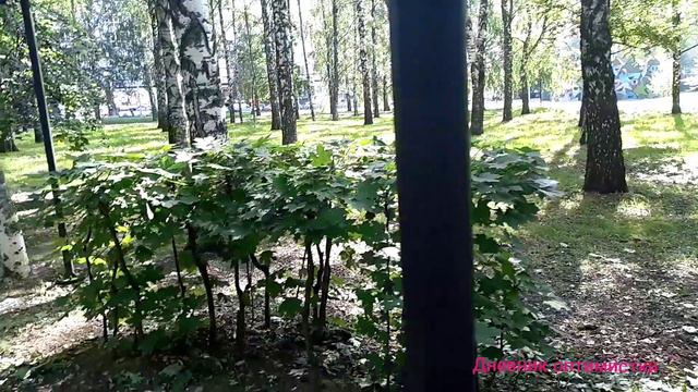 Камень ЖЕЛАНИЙ, почему я БОЮСЬ таких вещей, Нижний Новгород парк Пушкина