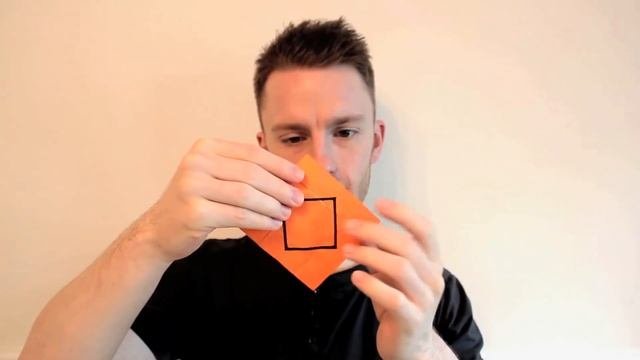 Youve never seen Origami like this before...