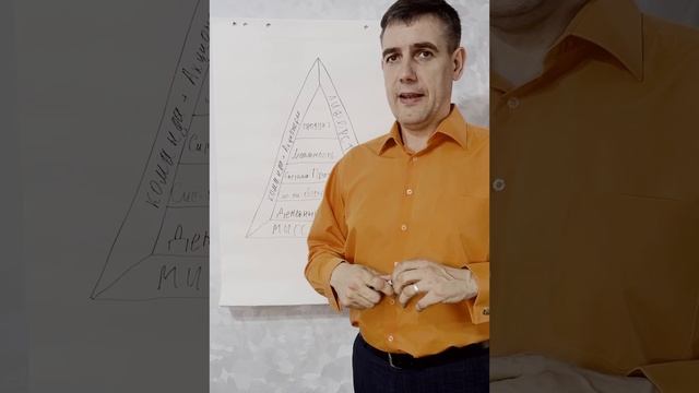 Структура бизнеса Витамакс