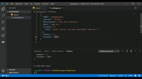 How to create node js project using npm