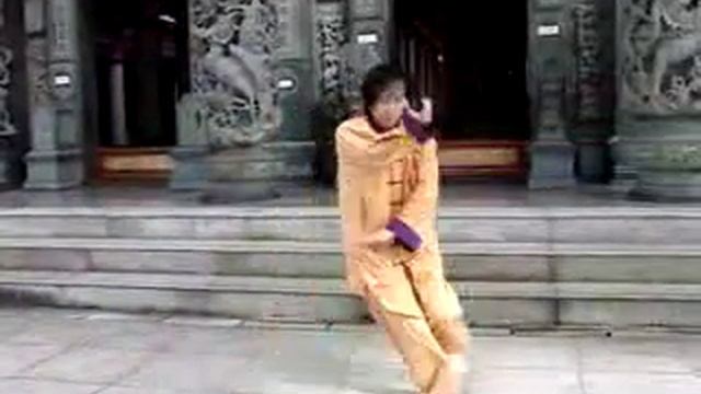 Выполнение формы кунг-фу.