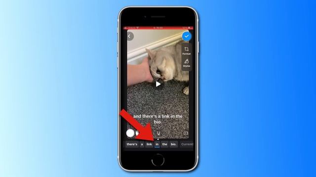 How to Add TikTok Captions | VEED Captions App