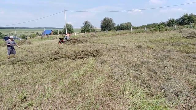 Грабли для сена. Как облегчить труд на сенозаготовке?!
