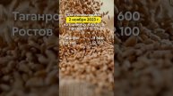 Закупочные цены 02.11.2023г. на пшеницу 4 класса (протеин ≥ 12,5%) в портах Азовского и Чёрного моря