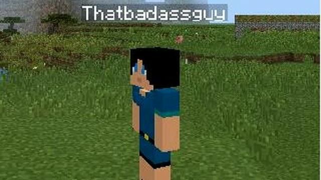 Minecraft pe 0.10.5 - Female Gender Mod