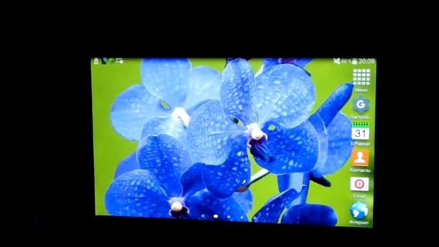 Фиолетовые орхидеи, стерео живые обои для ОС Андроид - Purple orchid LWP