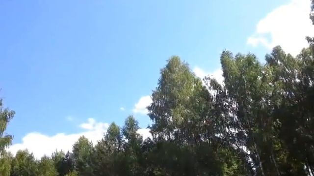 Красивая песня 