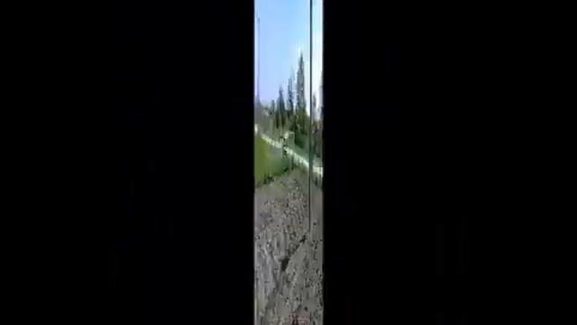 Юнный пахарь Дагестан