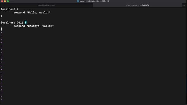 Using Caddyfile with Caddy Server