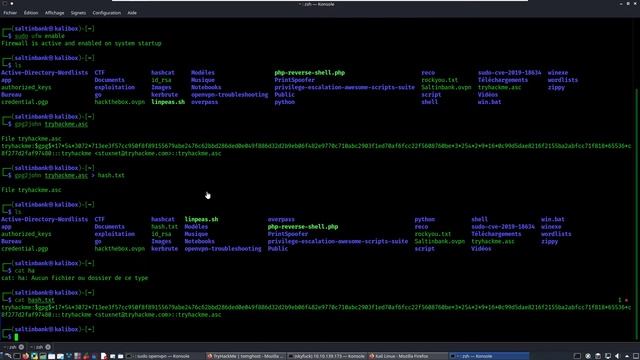 SALTINBANK - CTF TOMGHOST: Capture du drapeau TOMCAT par un autodidacte sans diplôme SDF dans la vi