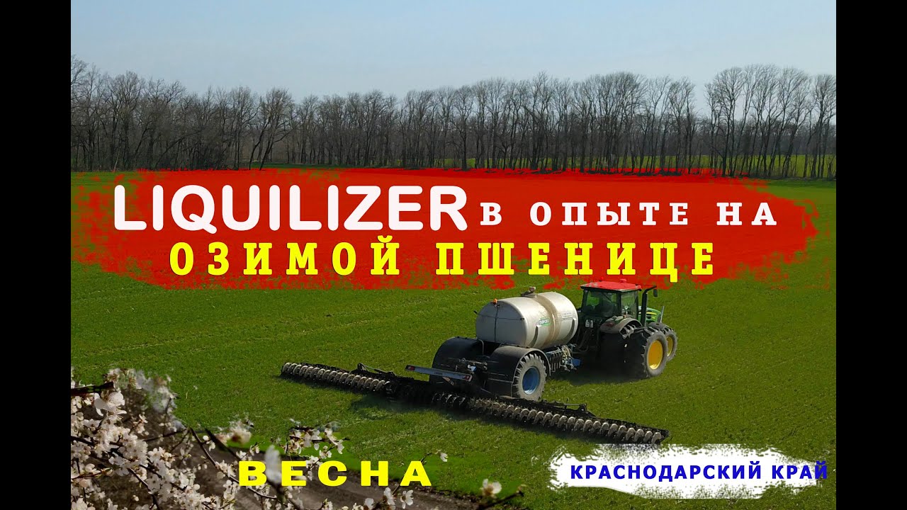 Ликвилайзер Дупорт в опытах на озимой пшенице. ТИОСУЛЬФАТ АММОНИЯ + КАС32.