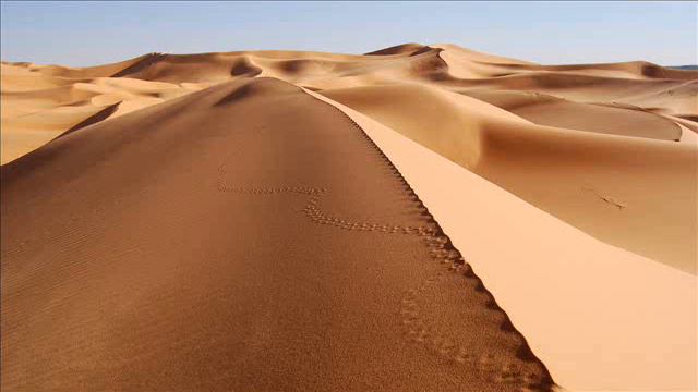 Laurent Wolf - Walk The Line