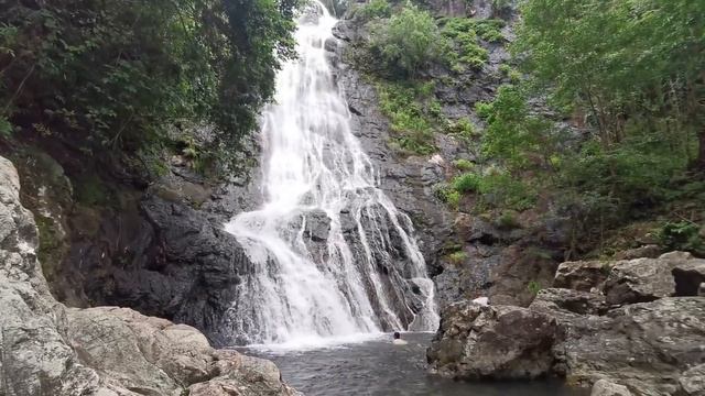 Естевственные звуки природы,твое хорошее настроение. Natural sounds of nature, your good mood.