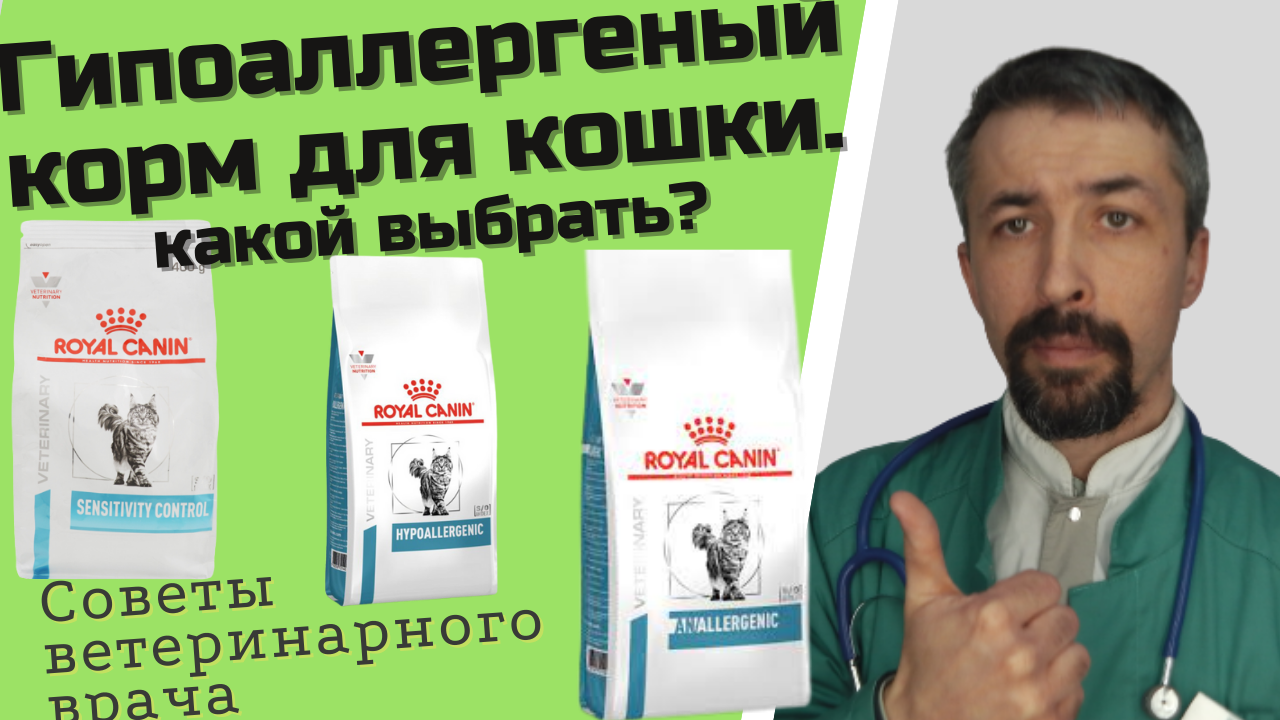 Выбор гипоаллергенного корма для кошки