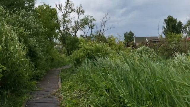 Новые Бурасы. Novye Burasy - village in Russia
