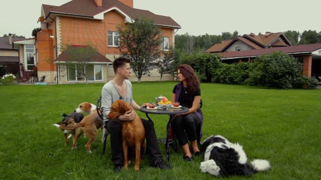 Дог STAR - Дмитрий Нестеров