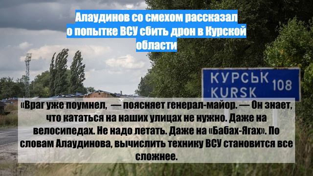 Алаудинов со смехом рассказал о попытке ВСУ сбить дрон в Курской области