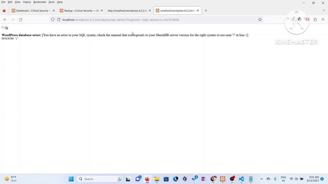Exploiting database plugin to hack into Wordpress DB