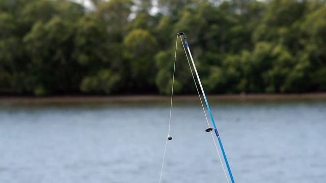Самые рекордно большие ЛЕЩИ пойманные на удочку