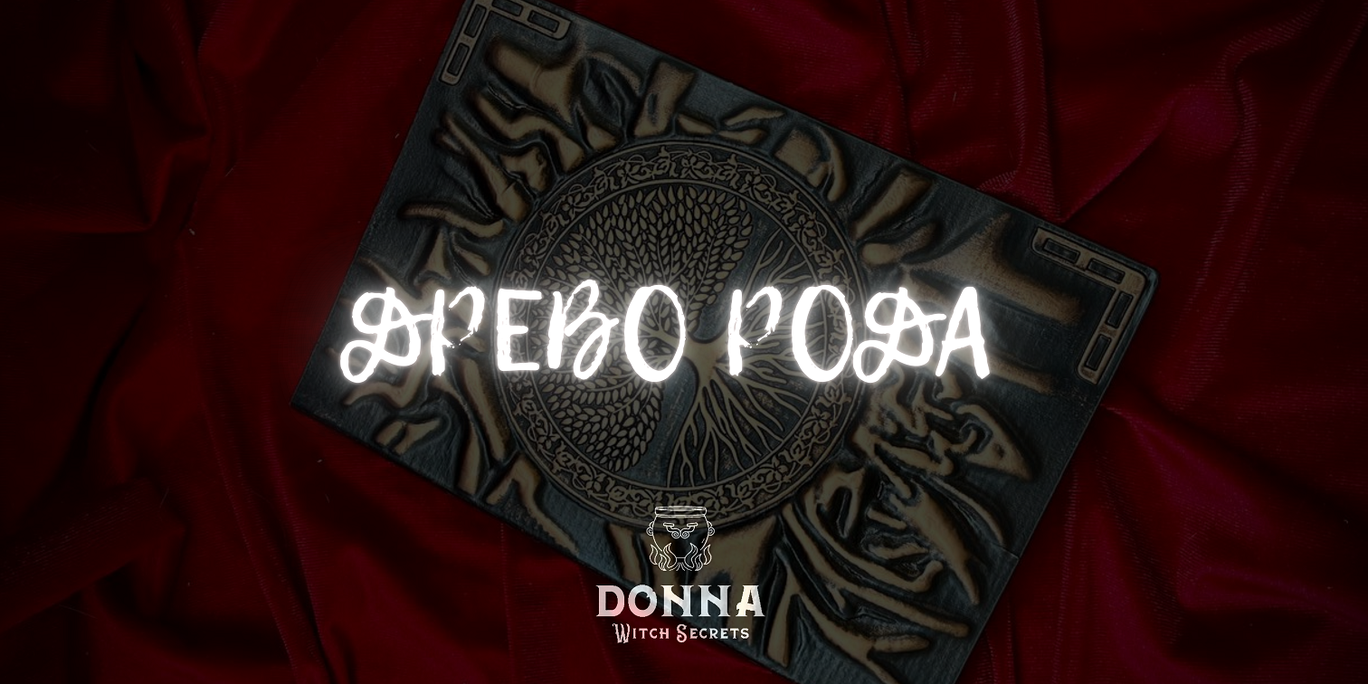 ДРЕВО РОДА