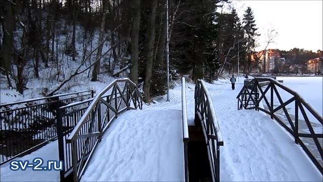Светлогорск, озеро Тихое, 7 февраля 2018 года