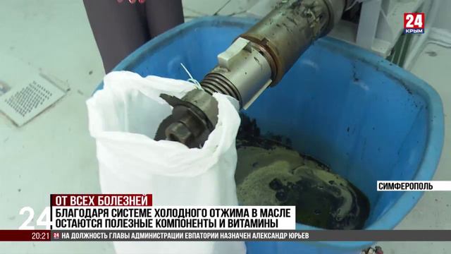В научно-исследовательском институте сельского хозяйства Крыма получают масло из нигеллы