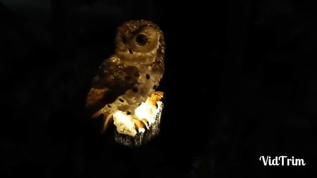 Декоративная Садовая Скульптура - Светильник Сова