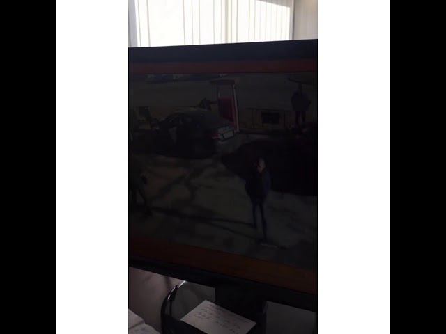 В Барнауле украли два автомобильных коврика
