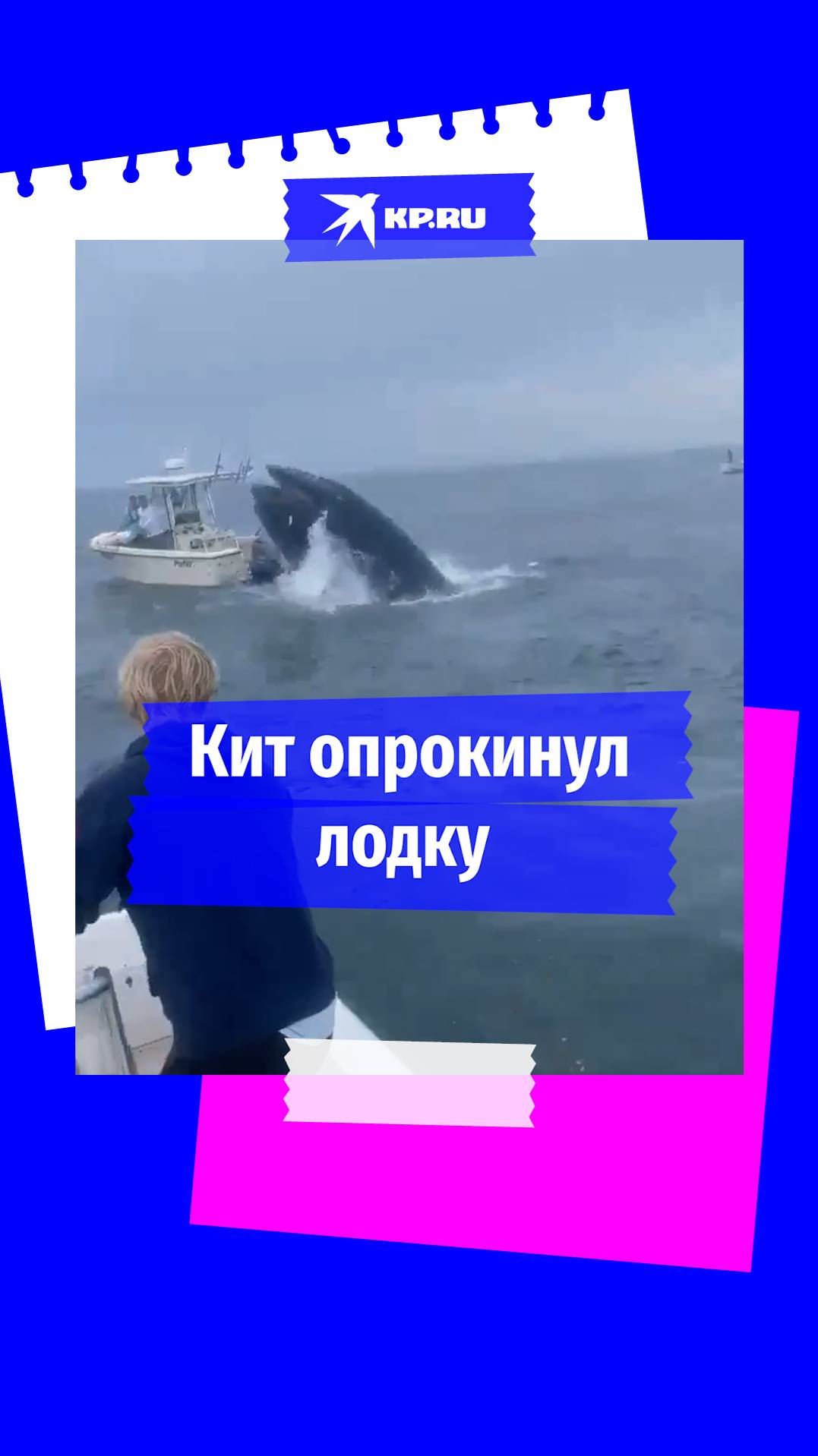 Огромный кит опрокинул лодку с рыбаками у побережья США
