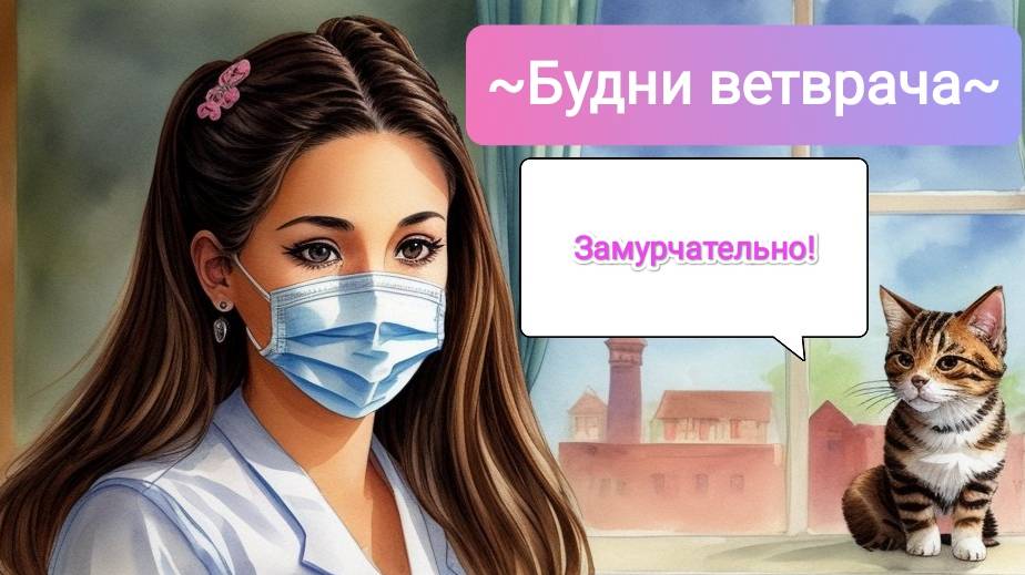 Будни ветврача! Мейн-кунов много не бывает!