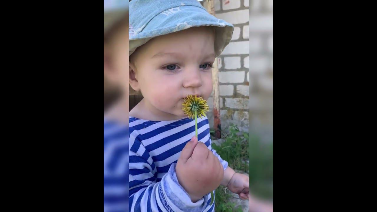 Почему же редко выходят видео?! #шортс #семья #огород #врек