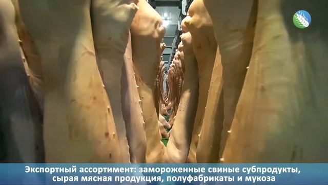 Курский мясоперерабатывающий завод