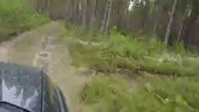 Вокруг Рыбинского моря (июль 2023 г.) 2 часть.