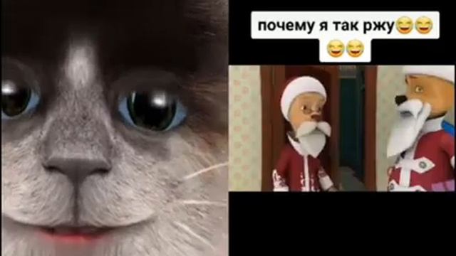 дедушка понос