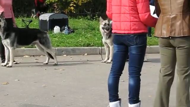 MVI_3729.AVI Сравнение на ЛЮ
