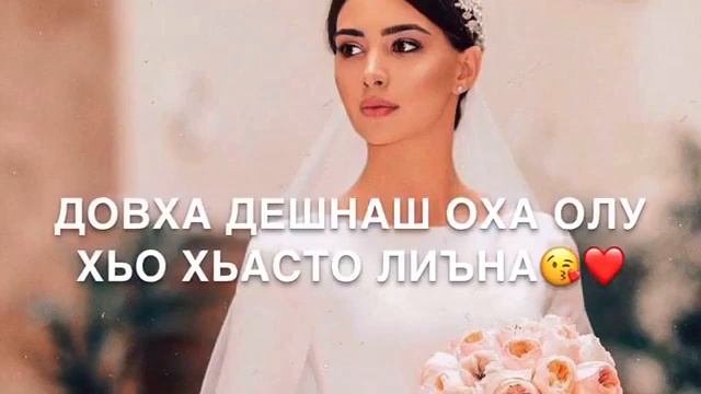 Нус-Сноха❤️