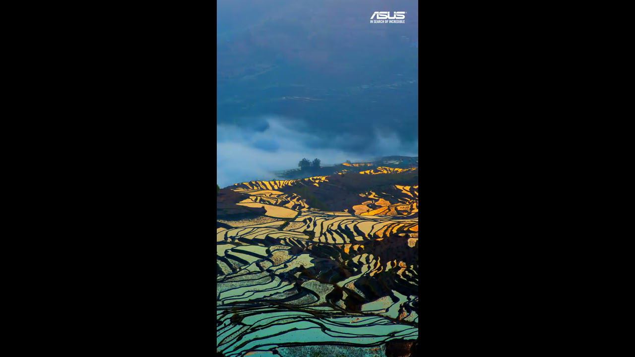 ASUS Display Demo