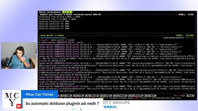Unlocking Container Management with Harbor