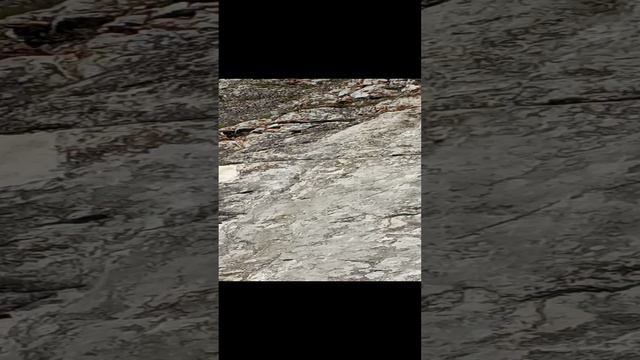 1000058099.mp4