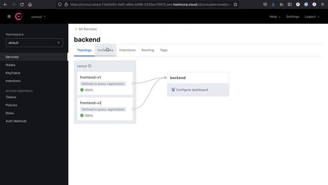 Traffic splitting and routing with HCP Consul