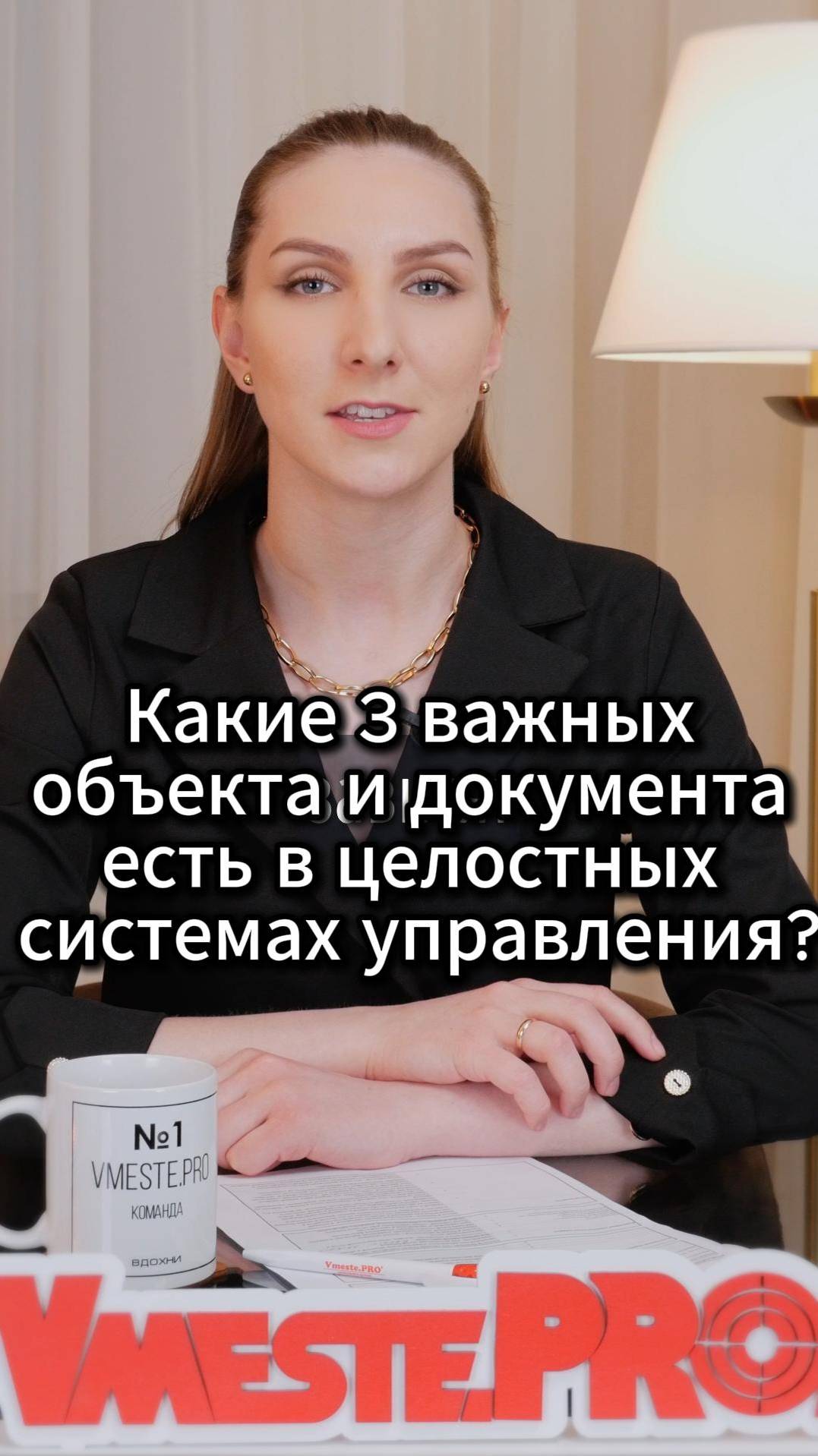 Какие 3 важных объекта и документа есть в целостных системах управления? #VmestePRO #Камасутрауправл