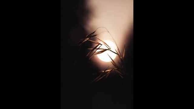 Самая Красивая Музыка для Релакса Послушайте и вы влюбитесь.mp4