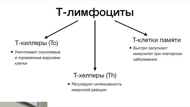 Г.А. Мишуровский - История об иммунитете