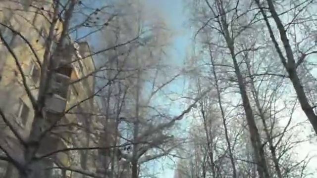 Хоровое пение сургутских воробьёв
